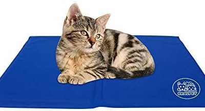 Bravpet Pet Cooling Mat